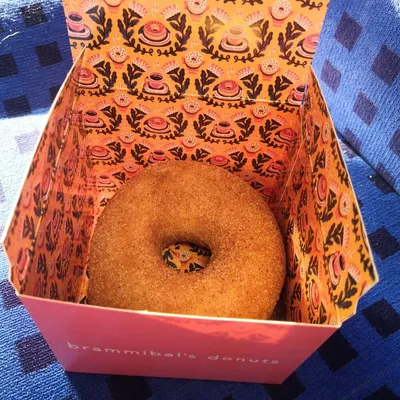 Brammibals Donut in der Box auf Bahnsitz