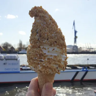 Softeis mit Haselnüssen vor der Futterluke