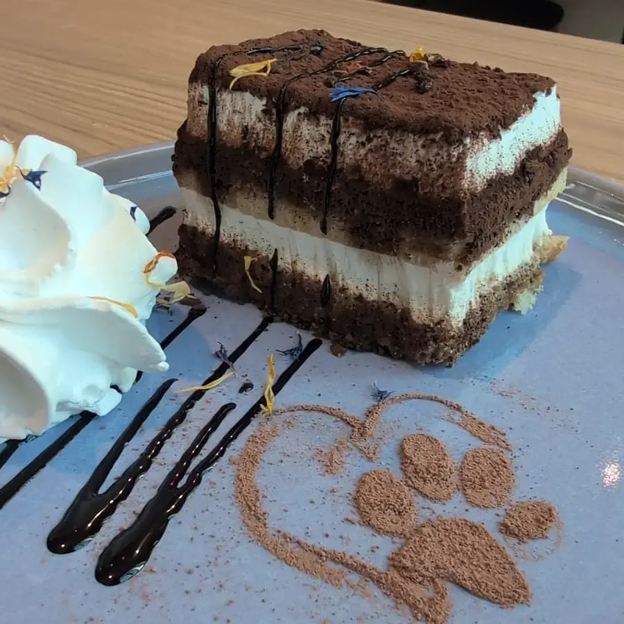 Tiramiezu, das vegane Tiramisu aus dem Katzentempel Hamburg Holstenwall