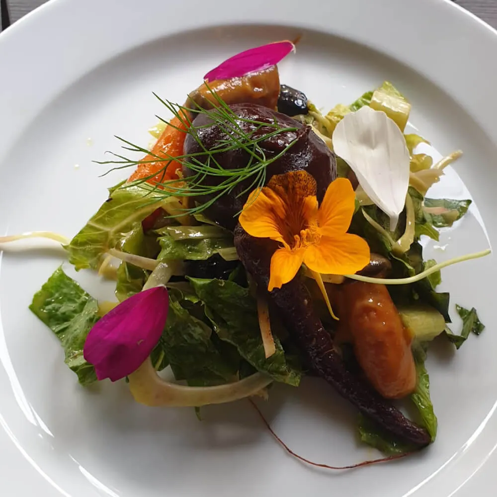 Miso-Aubergine und Saitlinge auf Salat im Maquis